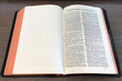 KJV Concord Reference Bible - Red Letter Edition (Cambridge) - Dictionary