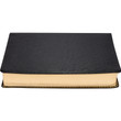 KJV Old Scofield Study Bible - LARGE PRINT - Genuine Leather Black