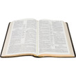 KJV Old Scofield Study Bible - LARGE PRINT - Psalm 23 Page Sample