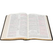 KJV Old Scofield Study Bible - LARGE PRINT - John 3 Page Sample