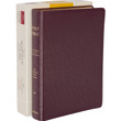 KJV Old Scofield Study Bible - LARGE PRINT - Genuine Leather Burgundy Indexed with Box