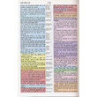 Spanish Rainbow Study Bible (RVR 1960)