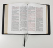 KJV Large Print Wide Margin Text Bible - John Page Sample