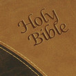 KJV Windsor Text Bible - Two-Tone