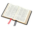 KJV Westminster Reference Bible with Metrical Psalms