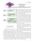 Bible Basics Sunday School Curriculum - Junior (5th & 6th Grade) - Spring Quarter