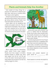 Bible Basics Sunday School Curriculum - Primary (3rd & 4th Grade) - Fall Quarter