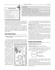 Bible Basics Sunday School Curriculum - Primary (3rd & 4th Grade) - Fall Quarter