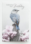 KJV Birthday Cards - A Touch of Color