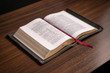 KJV Classic Wide Margin Study Bible (With C.I. Scofield Notes) - Goatskin Edition