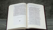 1769 Oxford Standardized Revision of the 1611 King James Bible Facsimile Reproduction - Apocrypha Page Sample