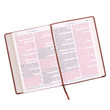 KJV Super Giant Print Reference Bible - Tan