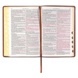 KJV Large Print Thinline Bible - Brown
