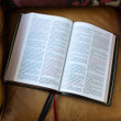 KJV Giant Print Thinline Bible - Premier Collection - Black Goatskin Leather