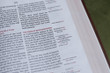 KJV Thompson Chain Reference Bible - Large Print - Comfort Print