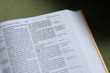 KJV Thompson Chain Reference Bible - Regular Size - Comfort Print
