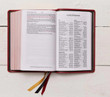 KJV Large Print Personal Size - Single-Column Reference Bible - Premier Collection - Red Goatskin Leather