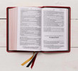 KJV Large Print Personal Size - Single-Column Reference Bible - Premier Collection - Red Goatskin Leather