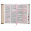 KJV Giant Print Bible - Purple - Thumb Indexed