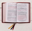 KJV Large Print Personal-Size Single-Column Reference Bible - Premier Collection - Premium Goatskin Leather (Thumb-Indexed)