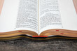 KJV Note Taker's Bible - Goatskin Edition - Psalm 23 Detail