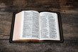 KJV Note Taker's Bible - Goatskin Edition - Concordance