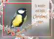 KJV Christmas Cards - Christmas Birds