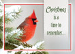 KJV Christmas Cards - Christmas Birds