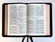 KJV Allan Longprimer Edition - Black Goatskin - w/Cyclopedic Concordance