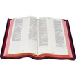 The KJV Preacher’s Bible - John 1 Sample Page