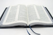 KJV Ruckman Reference Bible - Blue Calfskin Edition - Page Sample