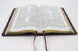 KJV Ruckman Reference Bible - Burgundy Calfskin Edition - Text Sample