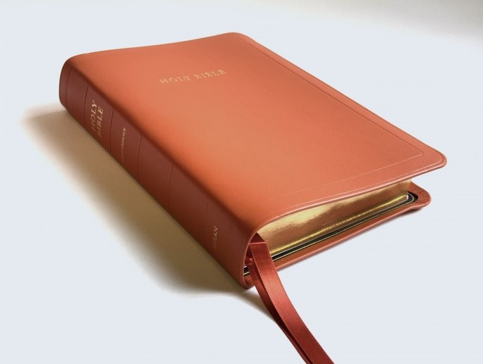 ill 　45本セット KJV Allan Longprimer Edition - Orange Meriva Calfskin