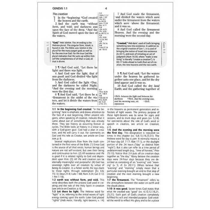KJV Life in the Spirit Study Bible - The KJV Store