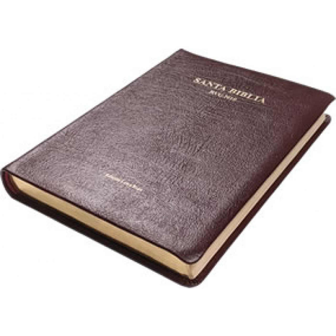 genuine leather bible