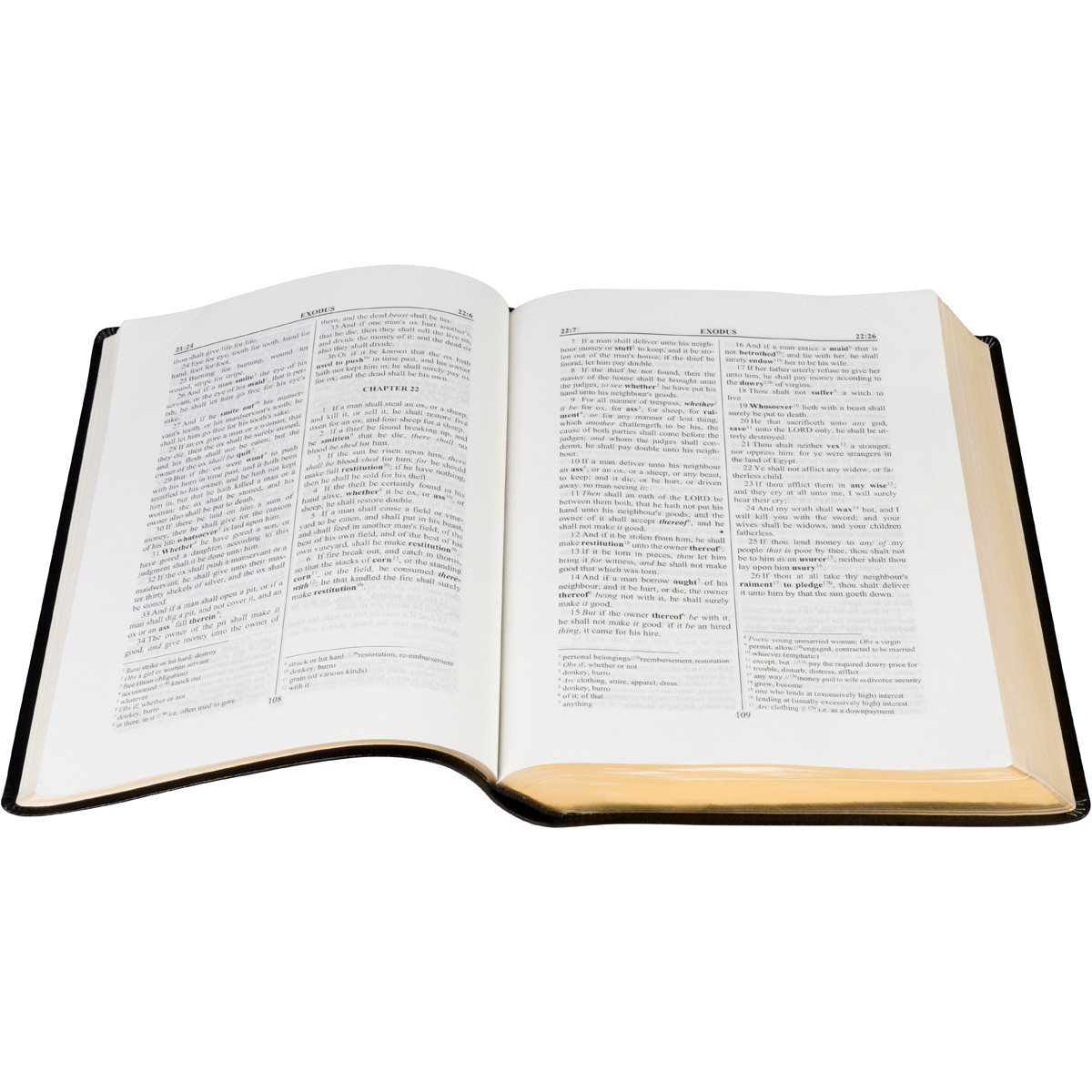 The Defined King James Bible LARGE PRINT The KJV Store