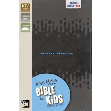 KJV Bible For Kids - Charcoal
