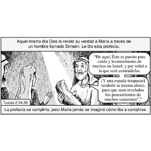 Why is Mary Crying? (Spanish Tract) The KJV Store