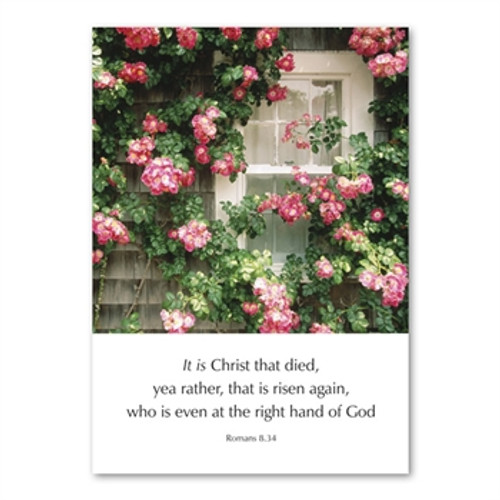 KJV Greeting Cards - It Is Christ That Died - Romans 8:34