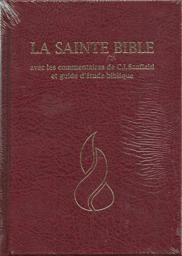 French Bible (Segond 1910) - Vinyl Blue - The KJV Store