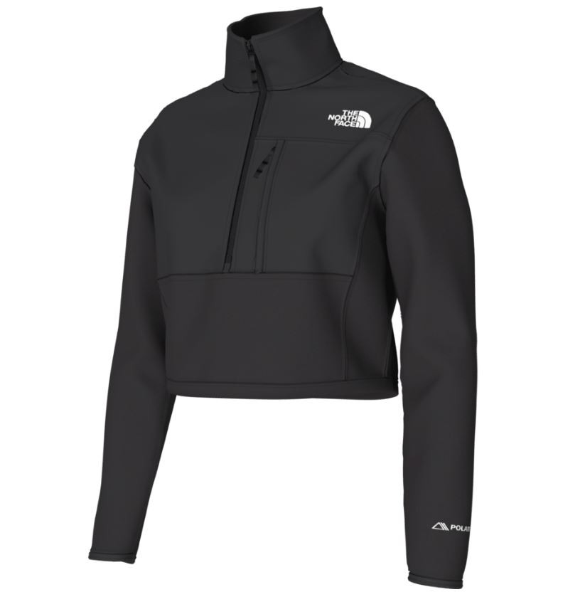 The North Face Denali Cropped Fleece Jacket North Face 3/4 Zip