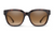 Suncloud Affect -Tortoise/Polarized Brown Gradient