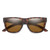 Lowdown 2 - Matte Tortoise/CPop Polarized Brown