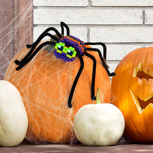 Spooky Spider