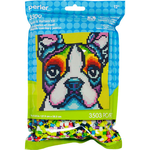 Rainbow Boston Terrier Activity Kit