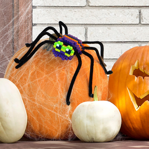 Spooky Spider