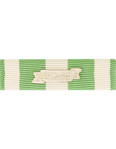 Vietnam Campaign with Date Bar Ribbon Vietnam Campaign with Date Bar Ribbon