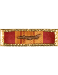 Vietnam Cross of Gallantry with Palm & SM Frame Vietnam Cross of Gallantry with Palm & SM Frame