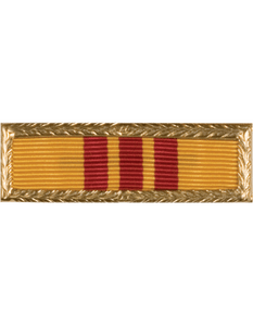 Vietnam Presidential AF / Navy Unit Citation w/SML Frame Vietnam Presidential AF / Navy Unit Citation w/SML Frame