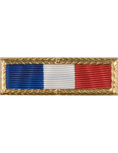 Philippine Presidential AF / Navy Unit Citation w/SML Frame Philippine Presidential AF / Navy Unit Citation w/SML Frame